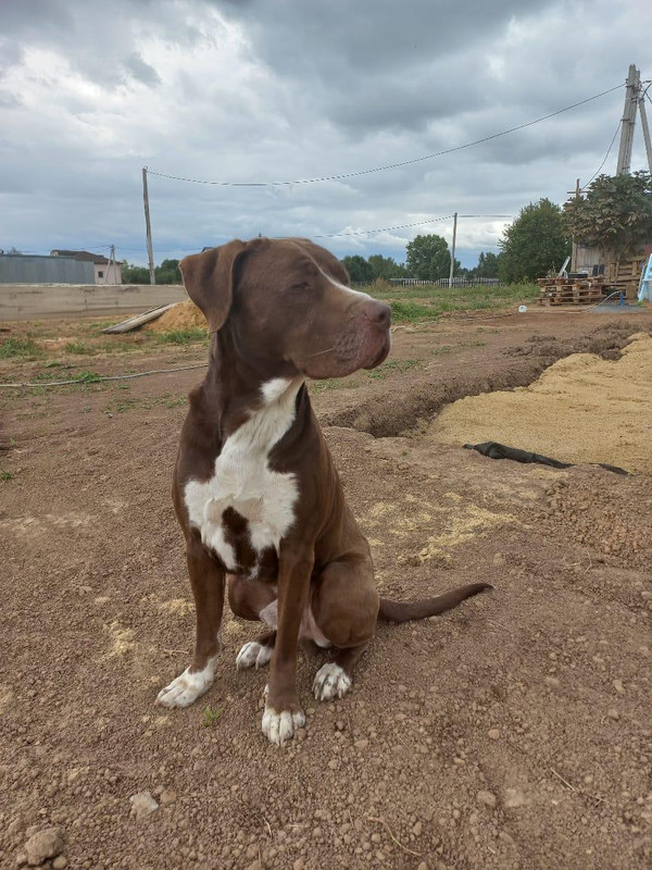 63010BCE-DF10-47F5-AE5F-F0545FA2F7E8