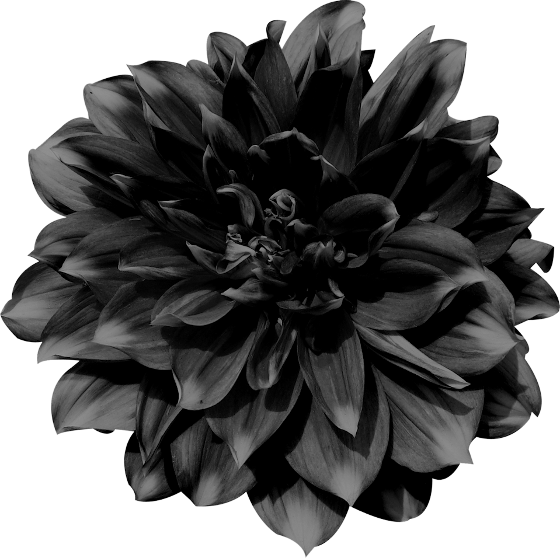 Autumn Witchery (95)