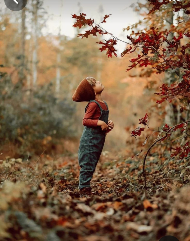 Screenshot_20231117_204534_Pinterest