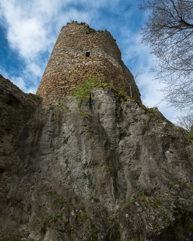 Obrázek