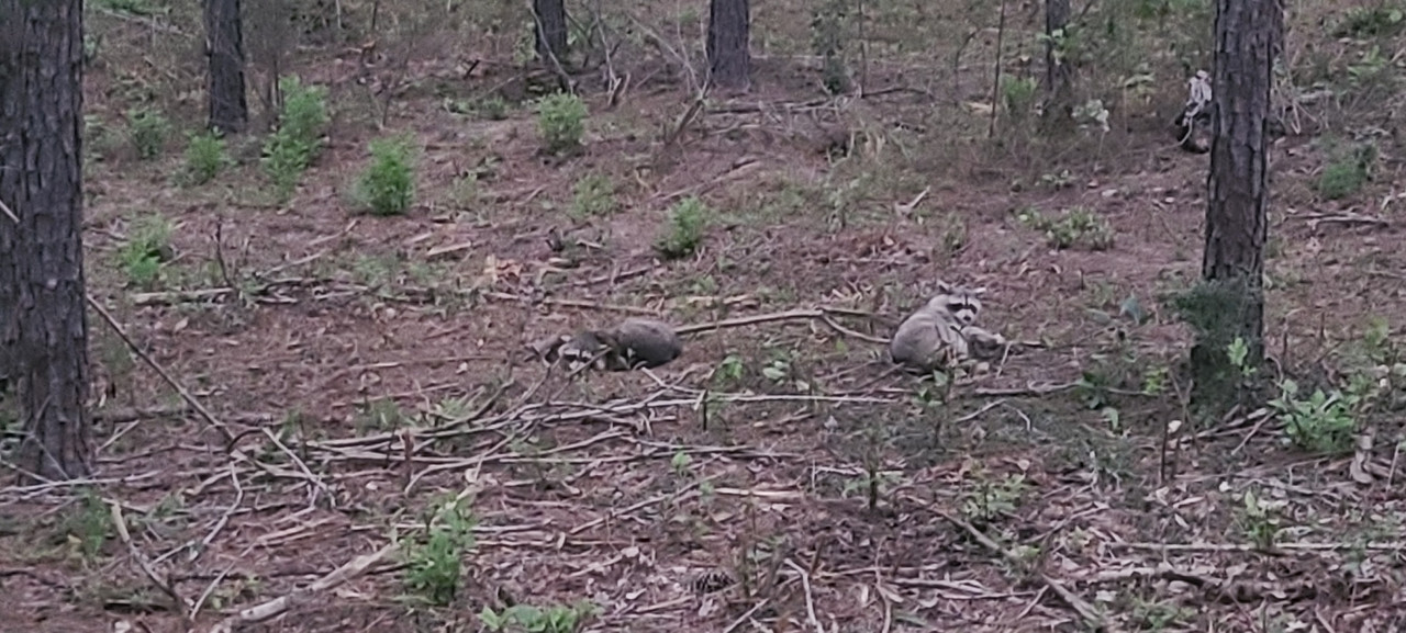 Resized_20241015_182056