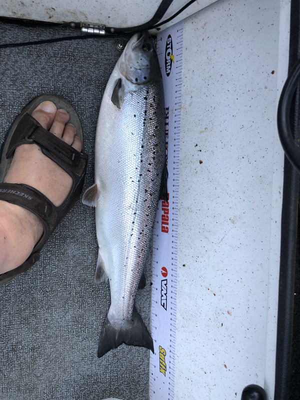 991082DA-3229-492A-896D-77C6FC9436AB