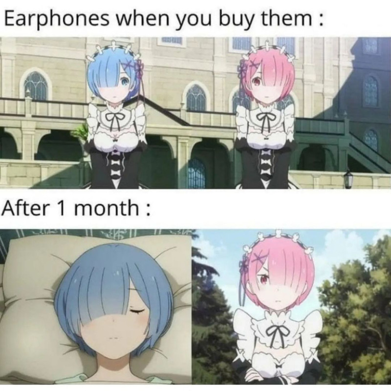 earphones.jpg