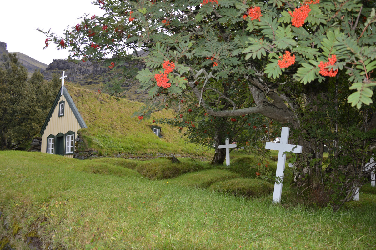 DIA 14: FJALLSÁRLÓN A VÍK - Islandia en tiempos de Covid. Y con Camper! (5)