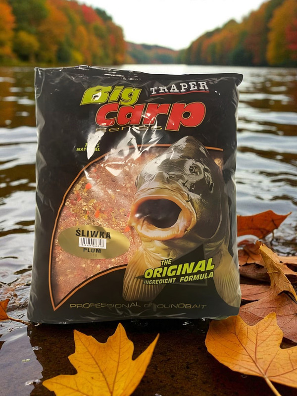 big carp