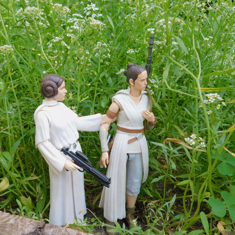 Дачно-Харлинский июнь-июль 2024 207