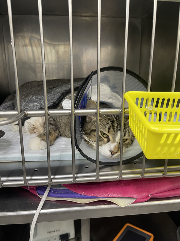 9D474583-2D5B-4F9F-A456-3526B1FD4BFF