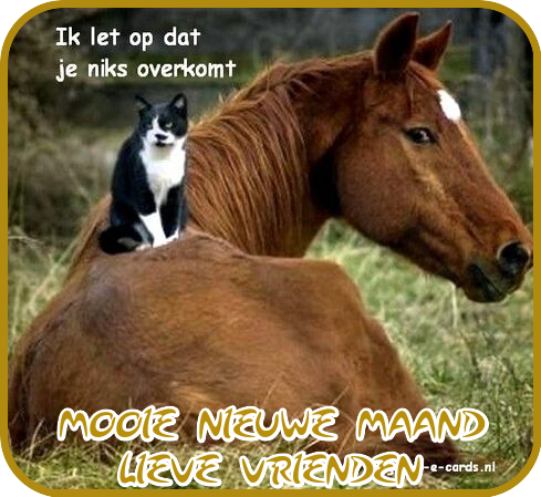 BLOGJES-1-AUGUS.png