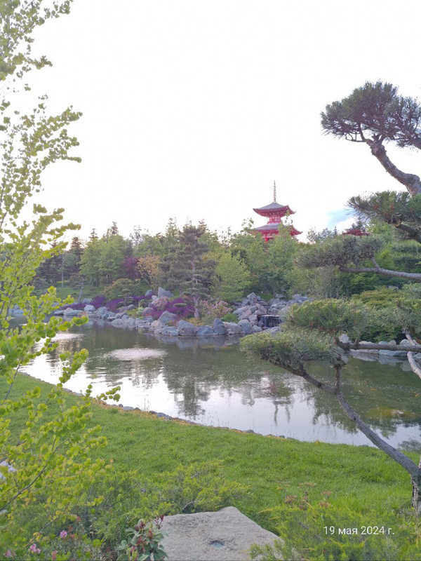 IMG_20240520_080611_881