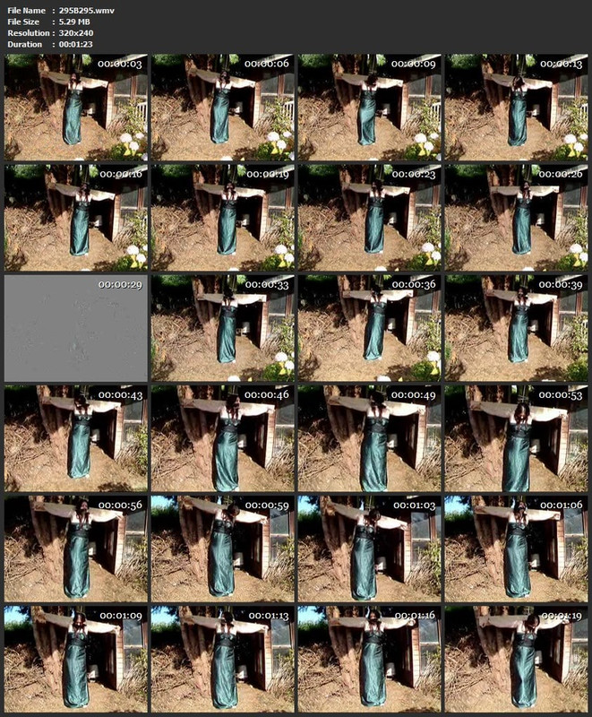 295B295.wmv