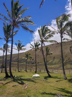 Terevaka:Ahu Te Peu-Vai Mata-Ana O'Heu-Ahu a Tenga-Hanga O Teo-Papa Tekena - Isla de Pascua - Chile (31)