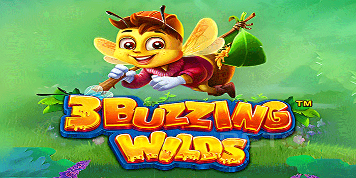 Slot 3 Buzzing Wilds