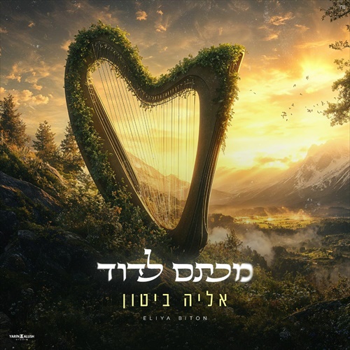 תמונה