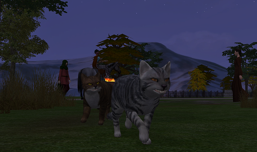 Greenshot-2025-06-14-19-47-37