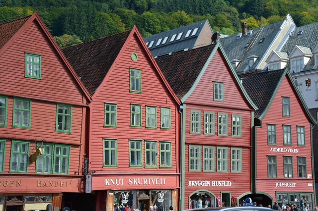 21 días por el Sur de Noruega - Blogs de Noruega - Día 13. Bergen (3)
