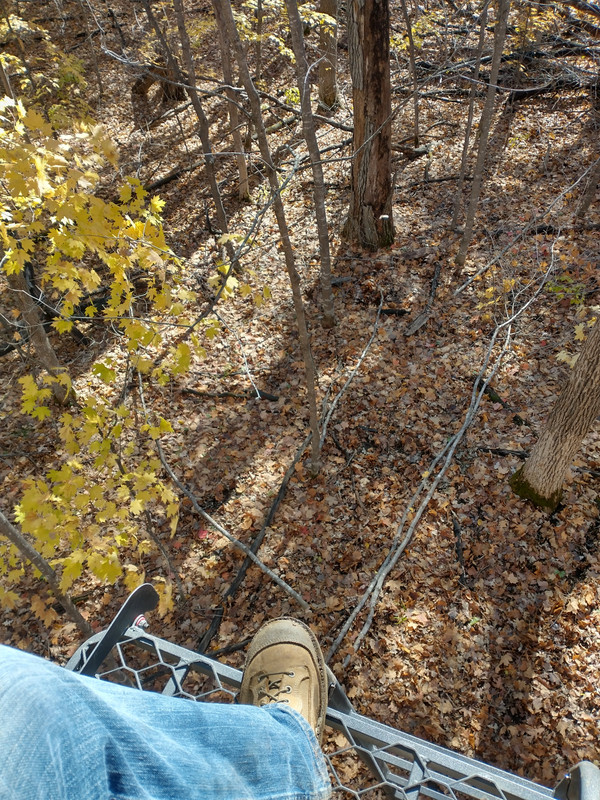 IMG_20211016_124141101_HDR