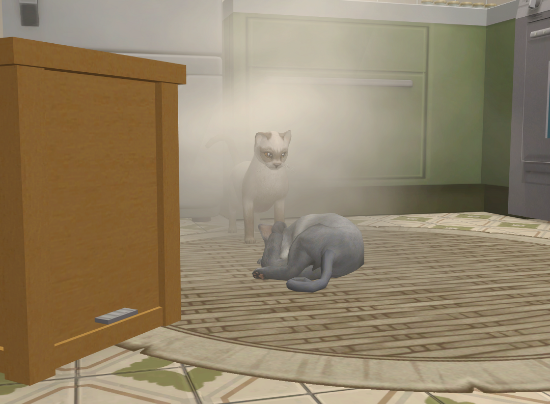 ksnip-20250810-140925