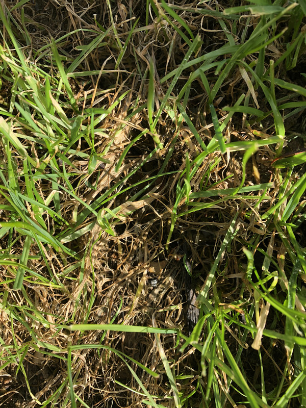 4DAC7284-BD7E-4249-A61C-5515B59F8963