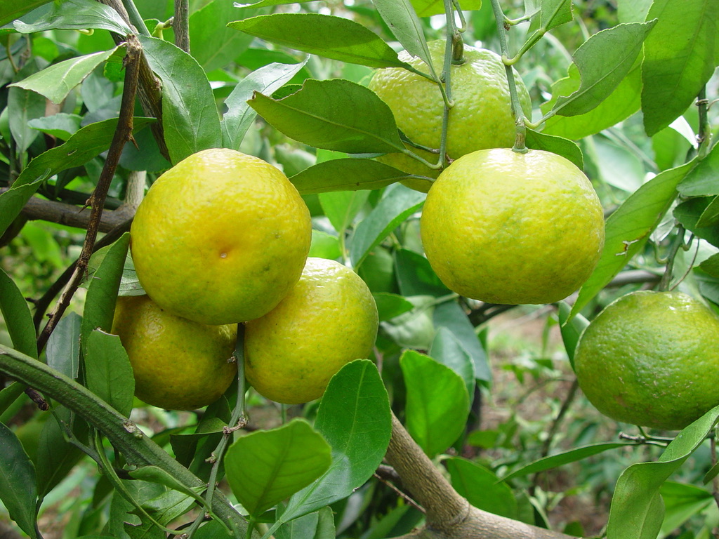 0D56ED91-19C8-43FA-BC59-65A05D6FCEDB_1_105_c