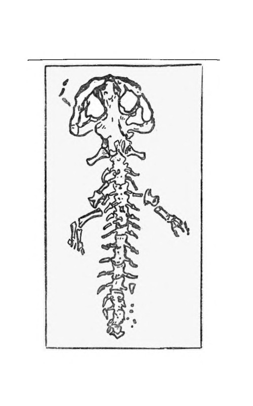 p0024