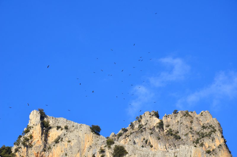 RUTA RIO BOROSA-12-3-2016-JAEN - Paseando por España-1991/2016 (197)