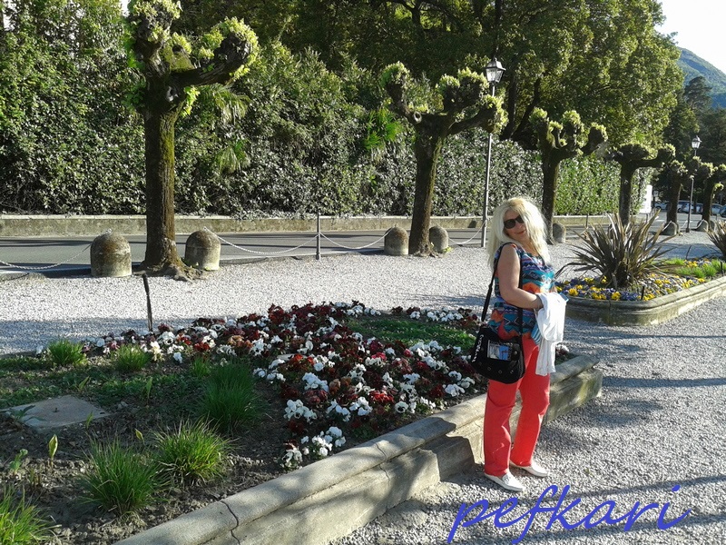 Slika