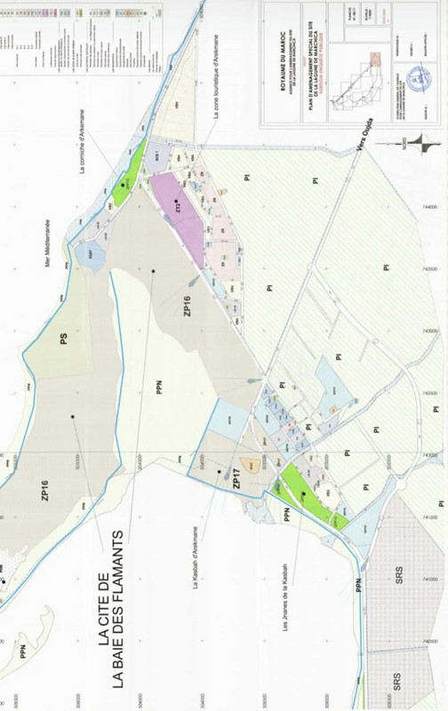 654235422-4378652802459037-914418059724550847-n