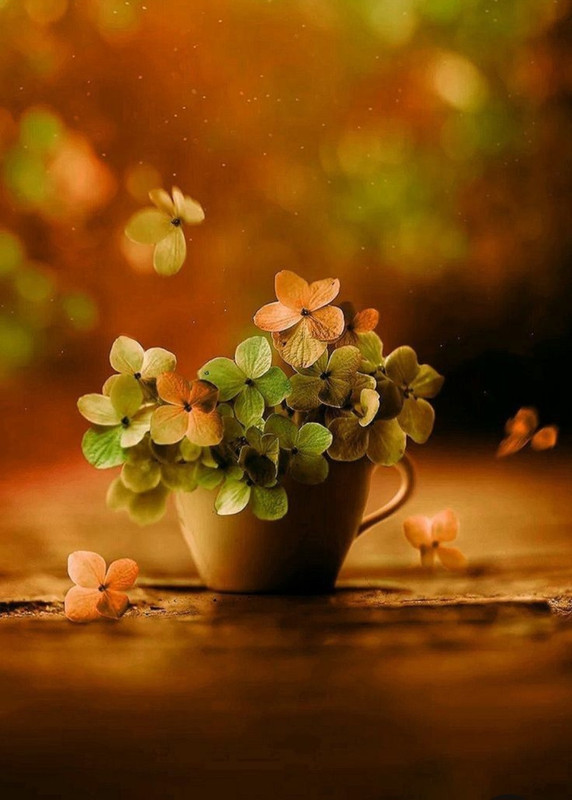 Screenshot_20230712_010052_Pinterest