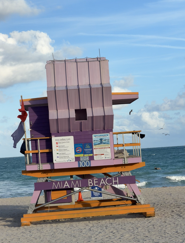 [Image: South-Pointe4.png]