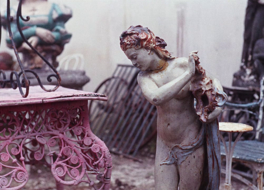 vlcsnap-2025-01-12-19h31m54s012