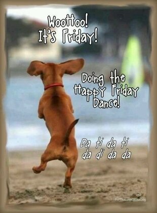 Friday-Dog-Happy-Dance