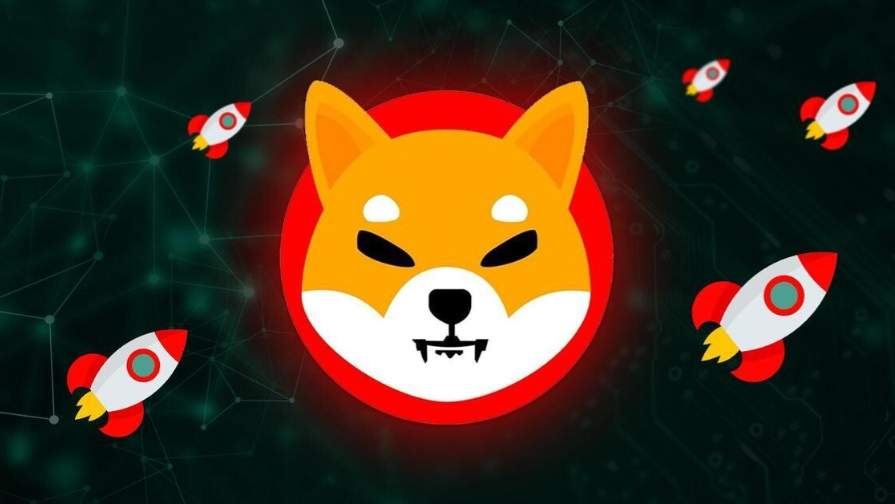 guide Девятимесячный максимум от Shiba Inu: поддержка долгосрочных держателей в действии