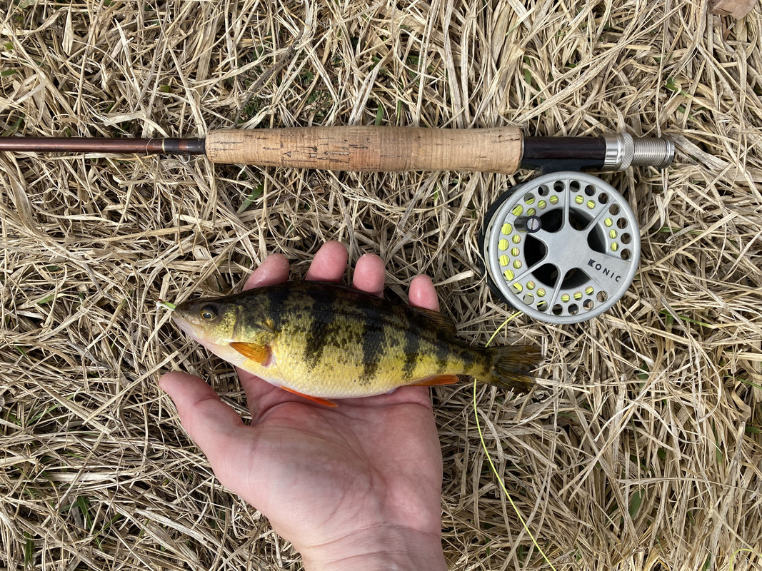 DF9270ED-21FC-4089-A840-F99672868017