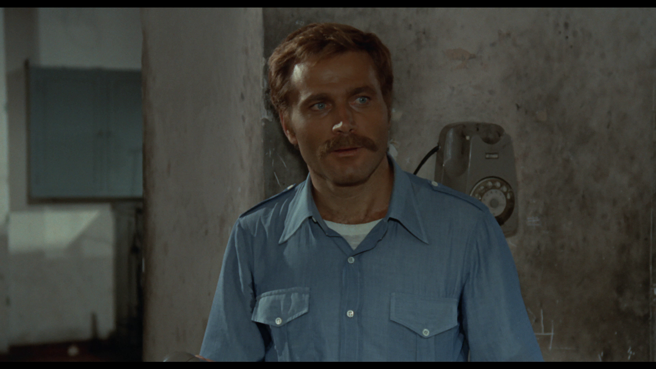 vlcsnap-2023-07-16-19h38m49s651