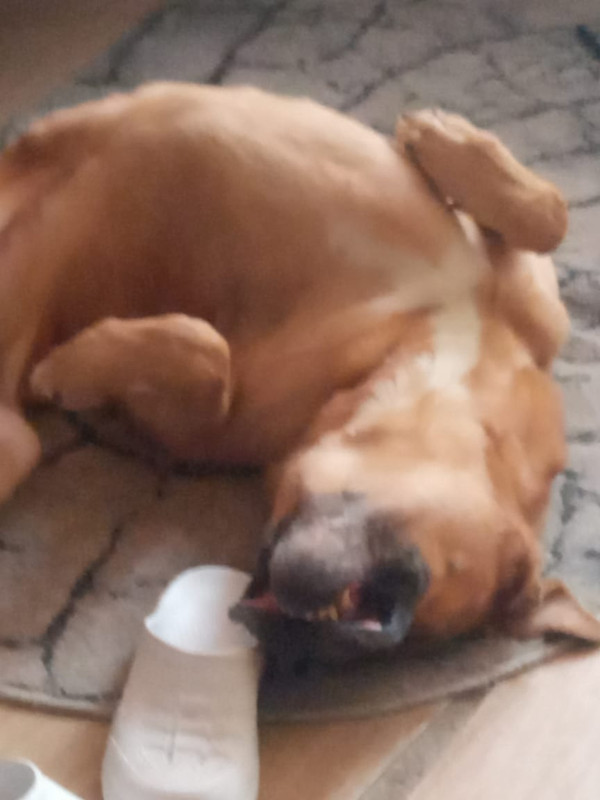 A6DECD27-EFEC-4425-81CA-9B4FE647F2C1