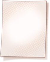 z survival 3rd bg