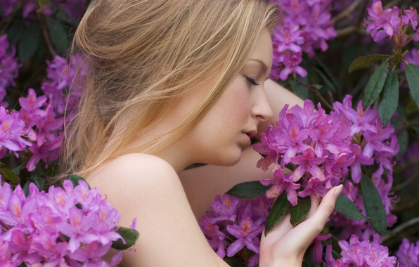 An den Beitrag angehängtes Bild: https://i.postimg.cc/vHTtZdWY/purple-flowers-rhododendron.jpg