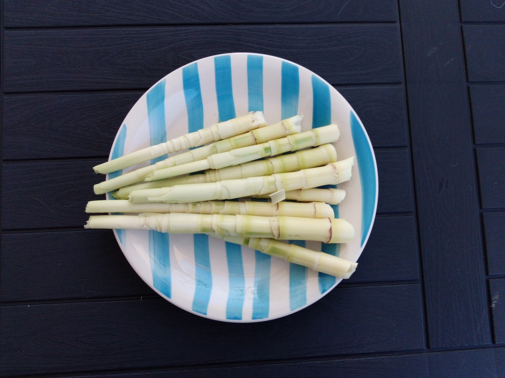 DSC_0178_resized_20190428_060415115