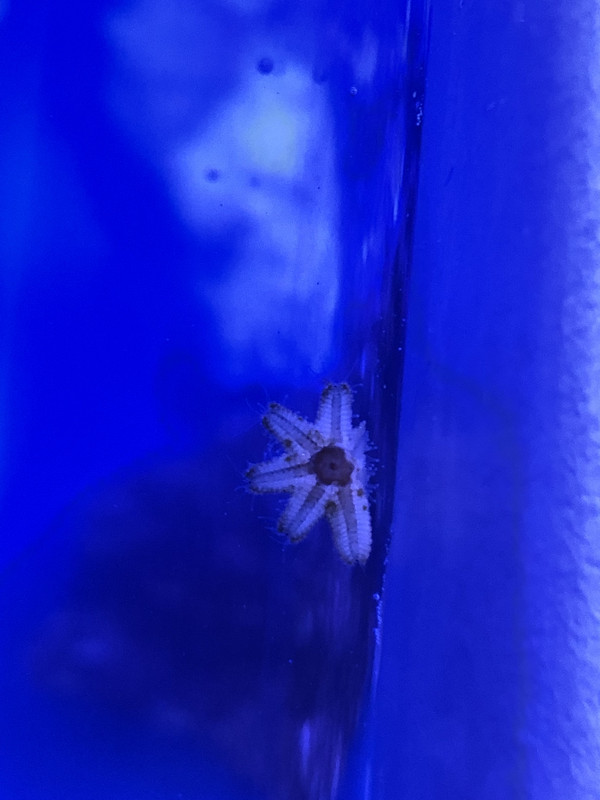 3AA26AD0-0514-427C-A184-24E93684E3B2