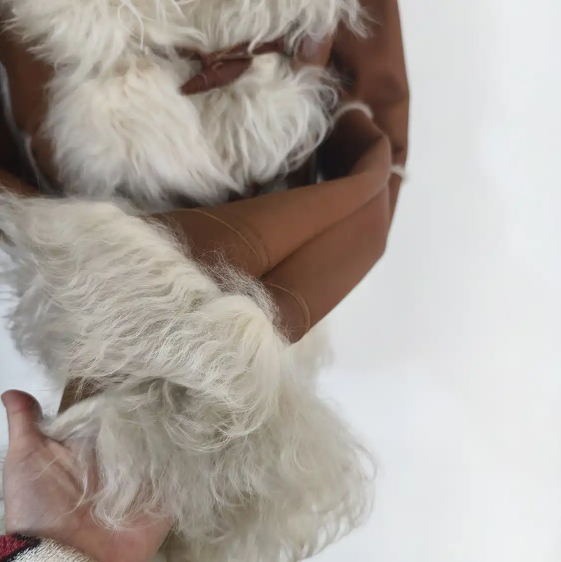 fe8fff46-9055-4230-afe4-9fa2b0cc4f60