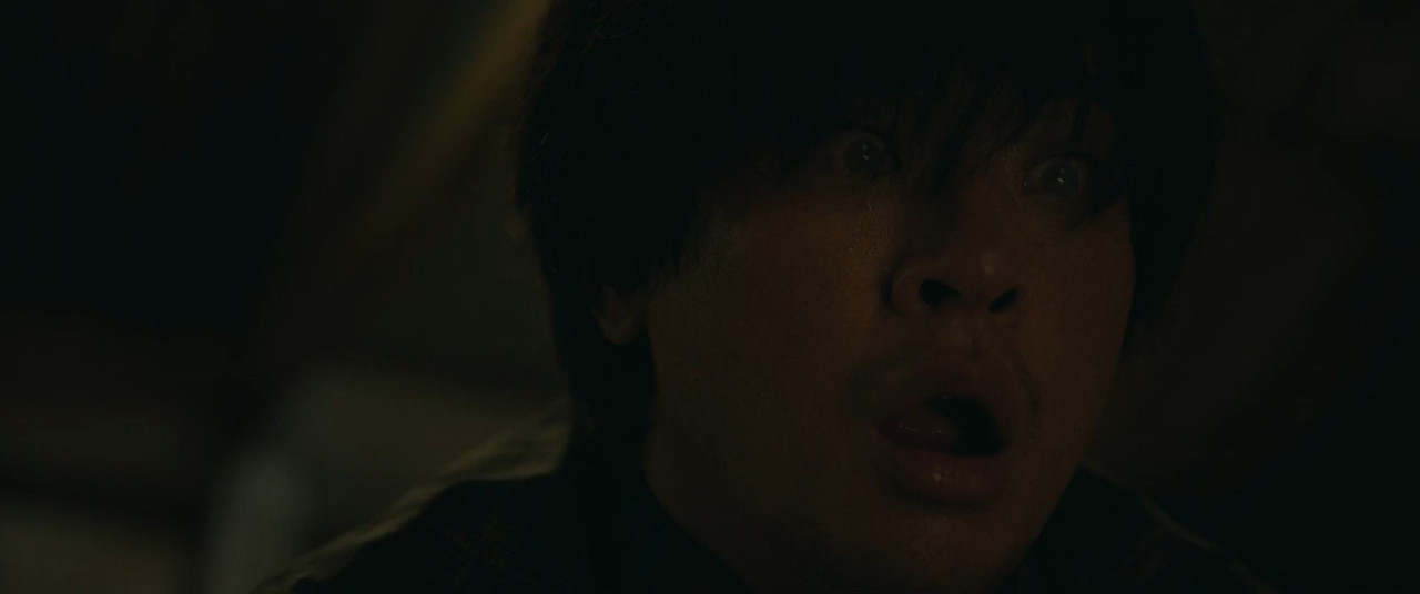 The Ugly 2025 WebRip [Hindi + Tamil + Telugu + Korean] 480p 720p ESub Screenshot