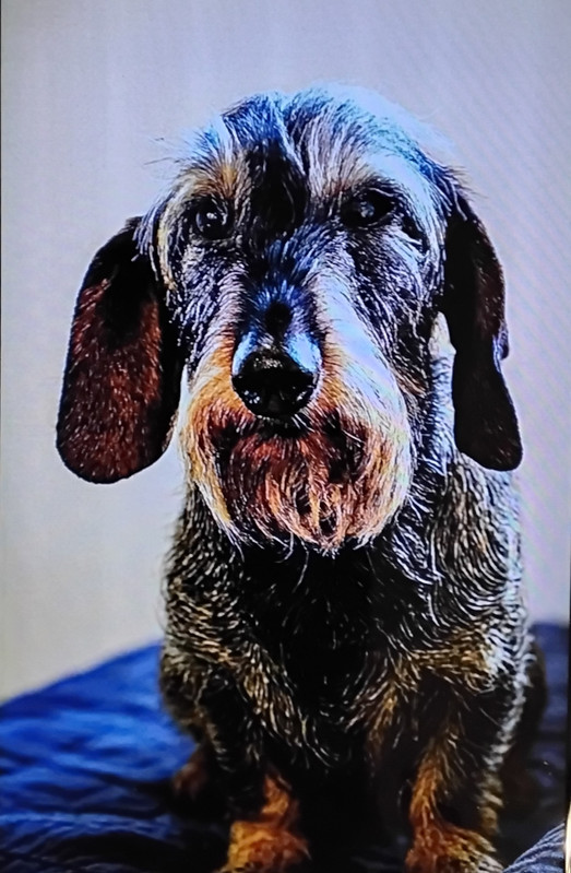 [Image: 20251214-191403.jpg]