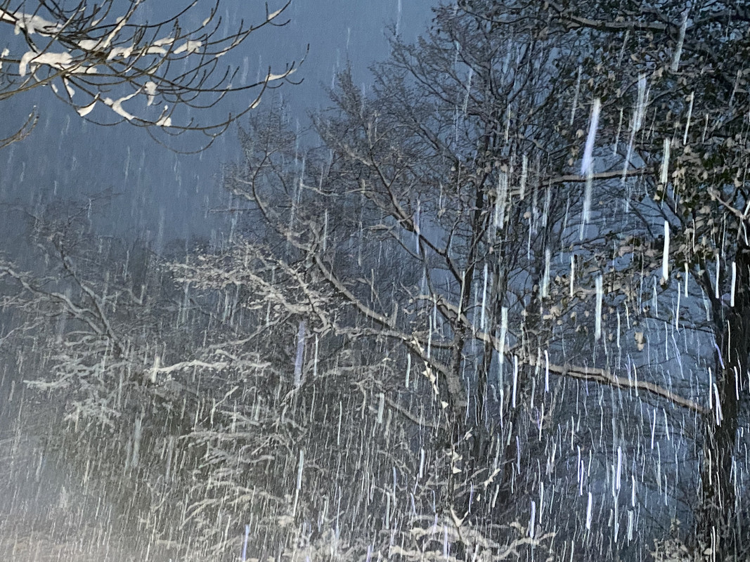 41DC4355-9D9E-4FCD-B9A5-522ACEB9ABEE