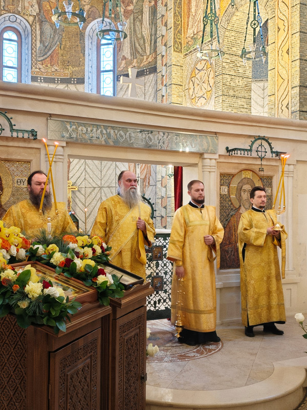 In Shot 20260212 183212011