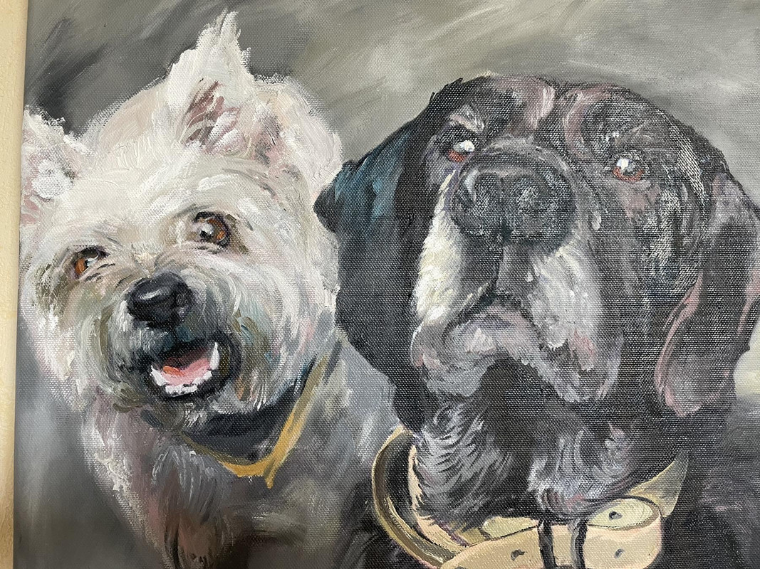 3096A36E-C684-4726-BFE0-19430091E92E