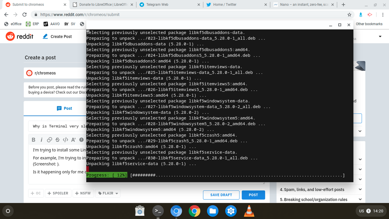 Why is Terminal very slow? r/chromeos