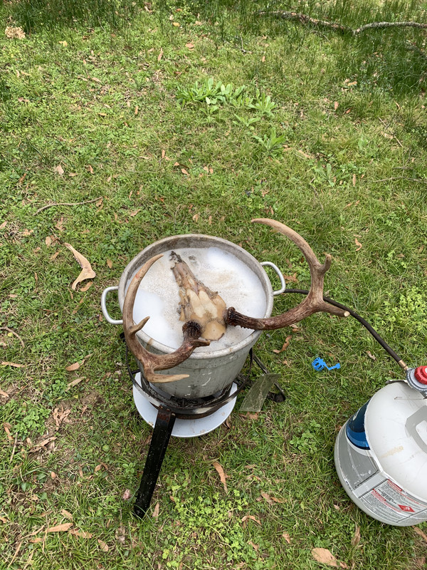 91B129CD-EB45-40E4-BC81-5F470FC98085