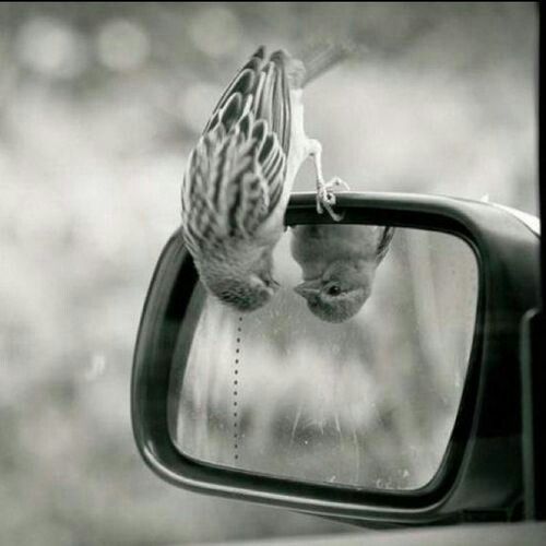 blacknwhite-window.jpg