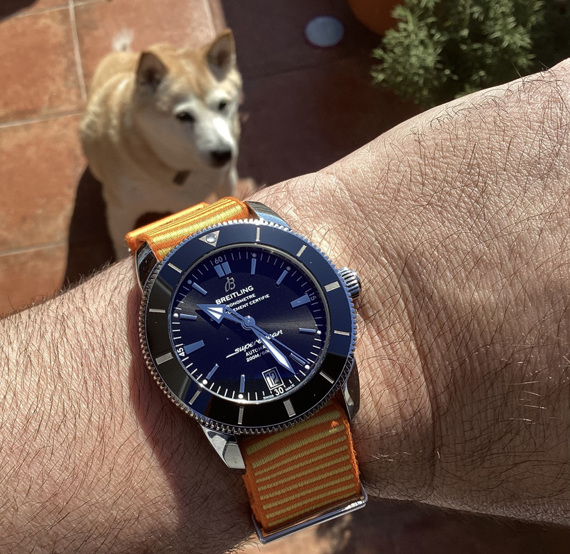 A62CC3E9-52BB-45E5-8429-8AB0A49D2E52