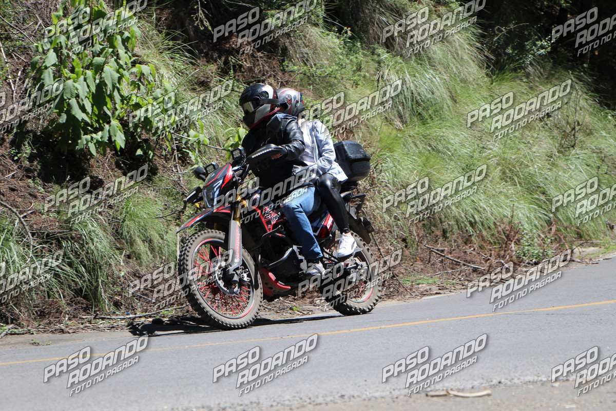 IMG 6316 wm 18937887 watermarked — Postimages